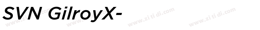 SVN GilroyX字体转换